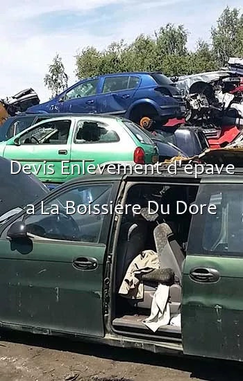 Devis Enlevement d'épave a La Boissiere Du Dore