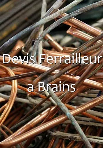 Devis Ferrailleur a Brains