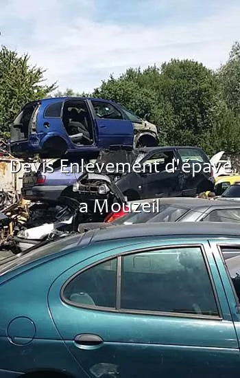 Devis Enlevement d'épave a Mouzeil