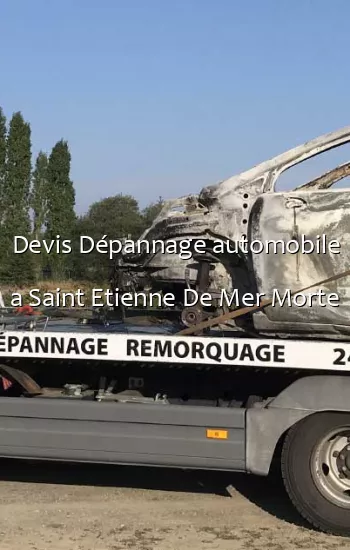 Devis Dépannage automobile a Saint Etienne De Mer Morte