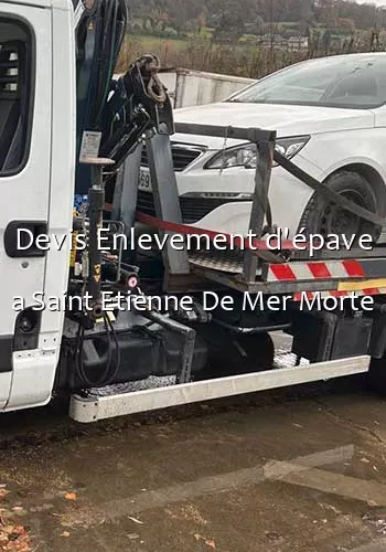 Devis Enlevement d'épave a Saint Etienne De Mer Morte