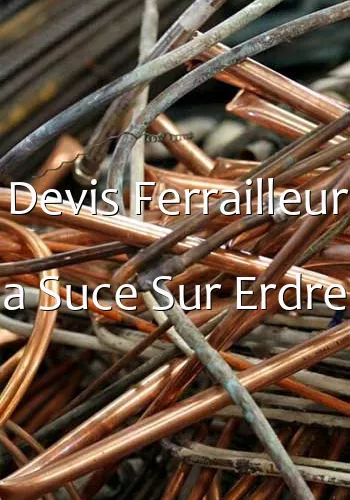 Devis Ferrailleur a Suce Sur Erdre