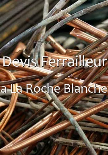 Devis Ferrailleur a La Roche Blanche