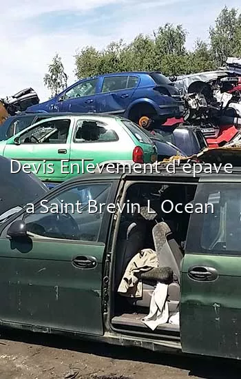 Devis Enlevement d'épave a Saint Brevin L Ocean